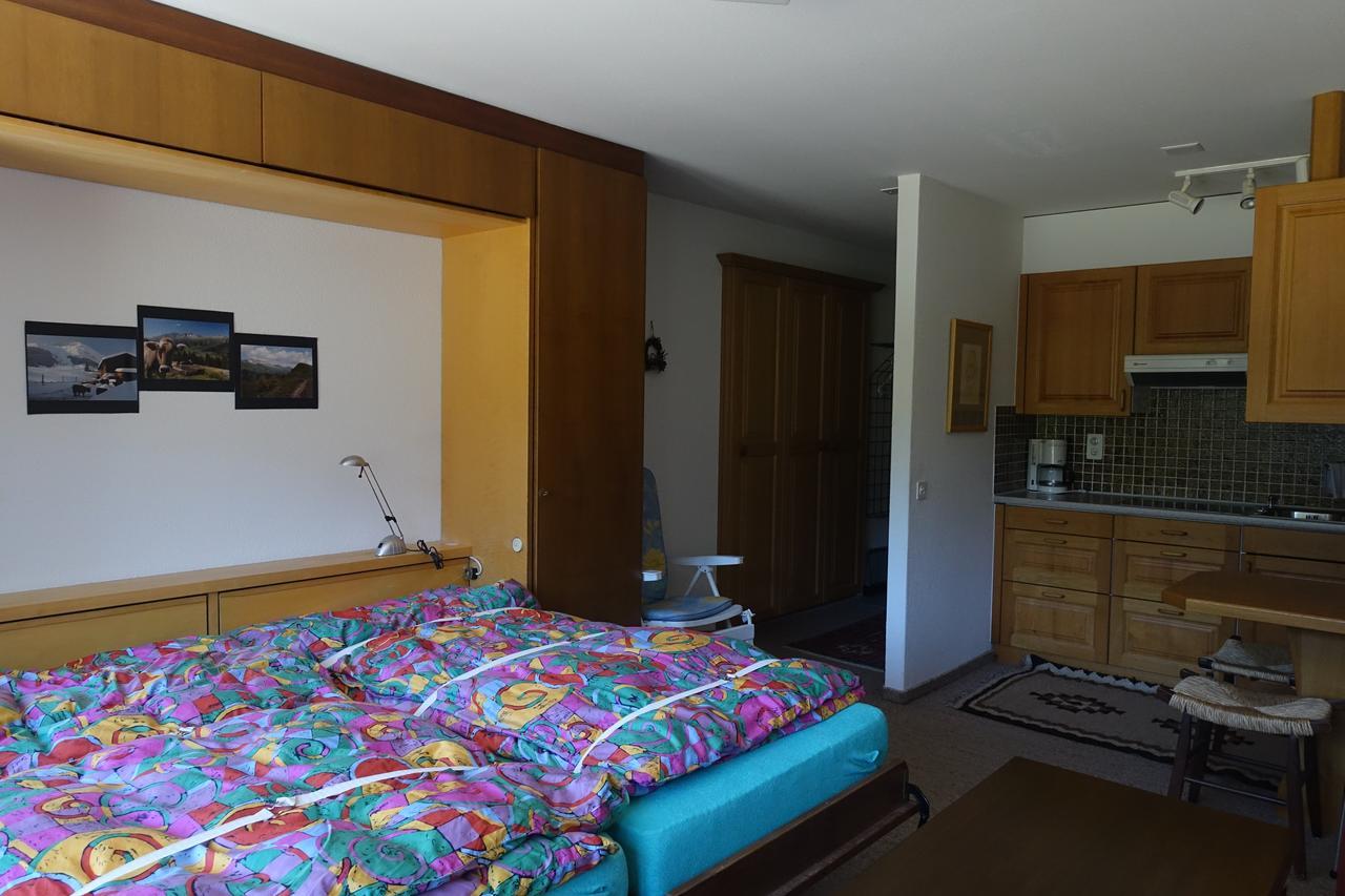 Casa La Foppa 28 Apartment เซดรุน ภายนอก รูปภาพ